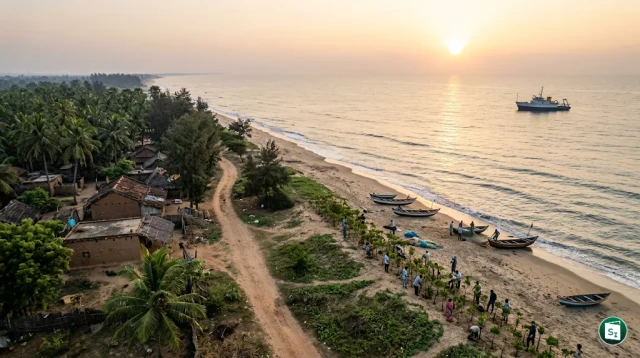 Aerial view of Odisha's vast coastline and marine ecosystem